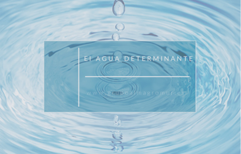 L'eau déterminera notre avenir