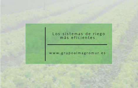 Les systèmes d'irrigation les plus efficaces
